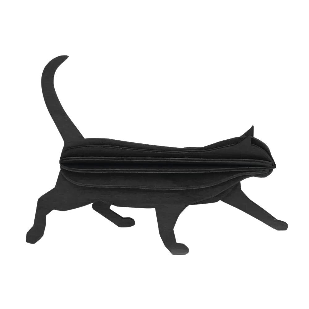 Lovi Cat