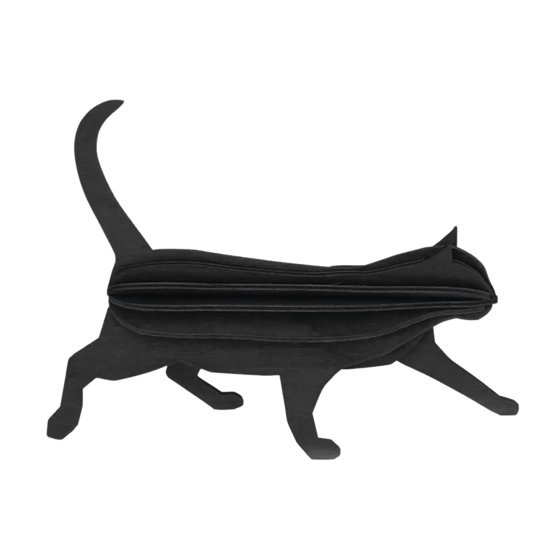 Lovi Cat
