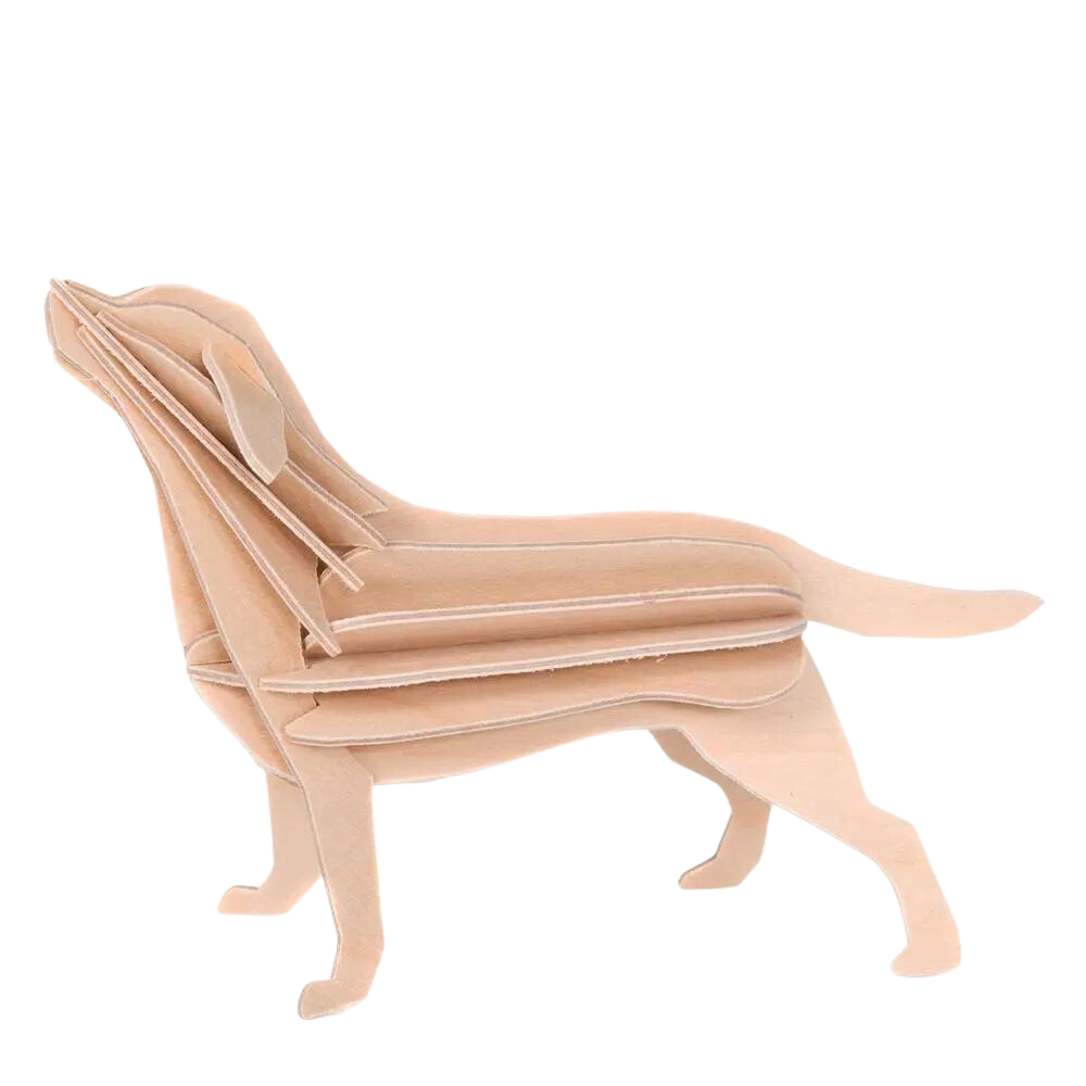 Lovi Labrador