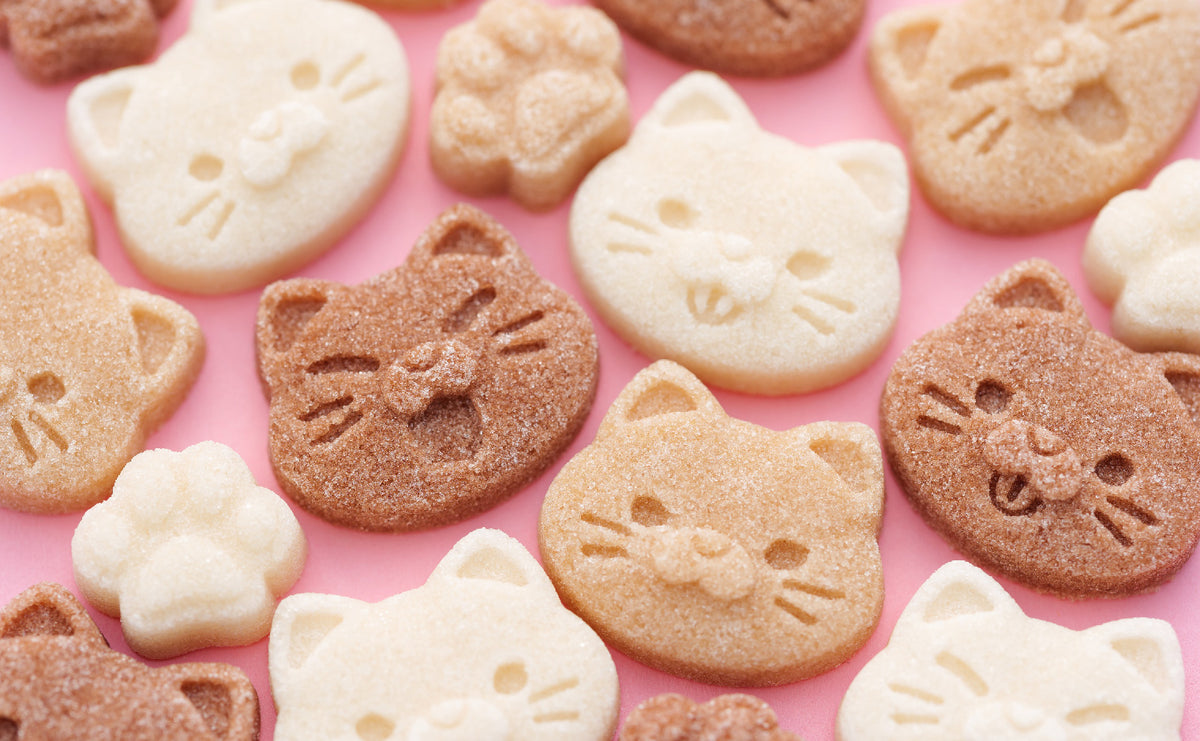 Café des chats