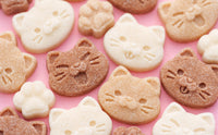 Café des chats