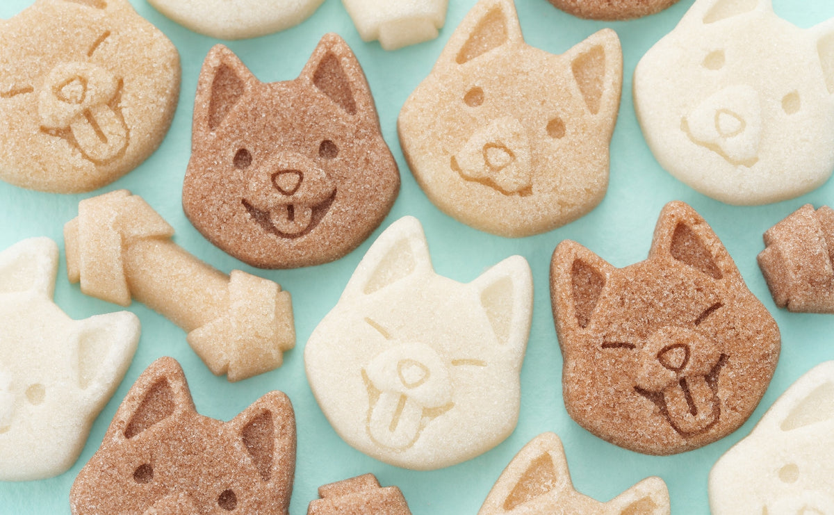 Café des chats