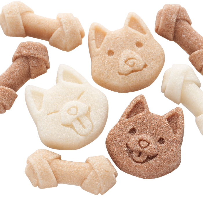 Café des chats