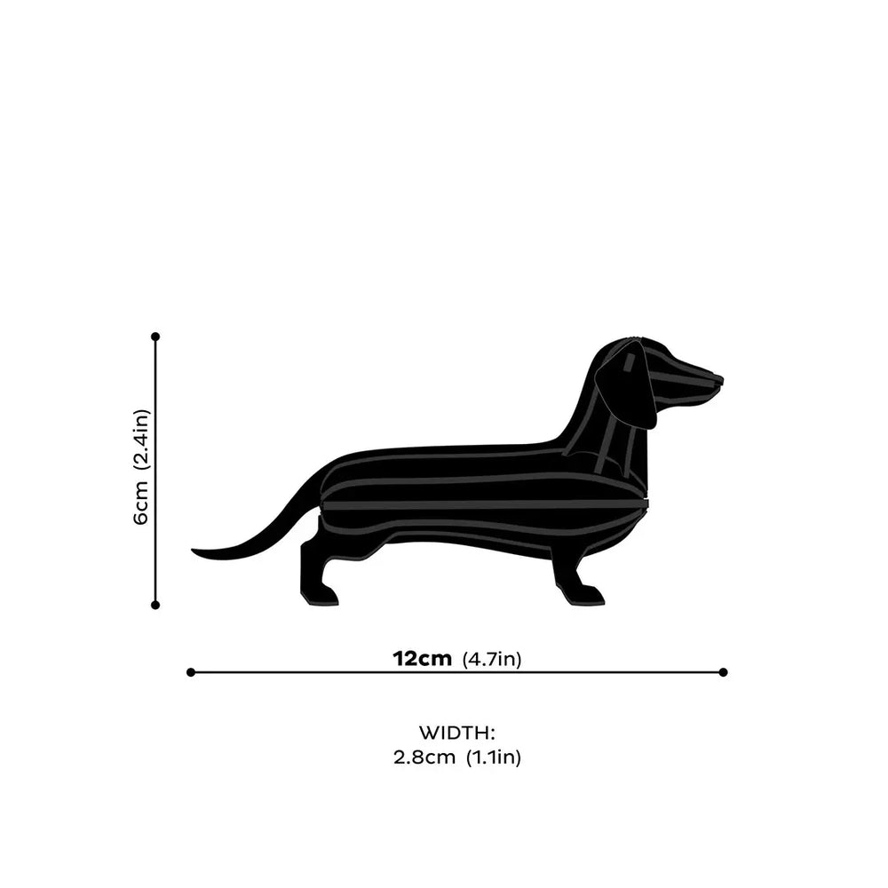 measurements #detail-photo