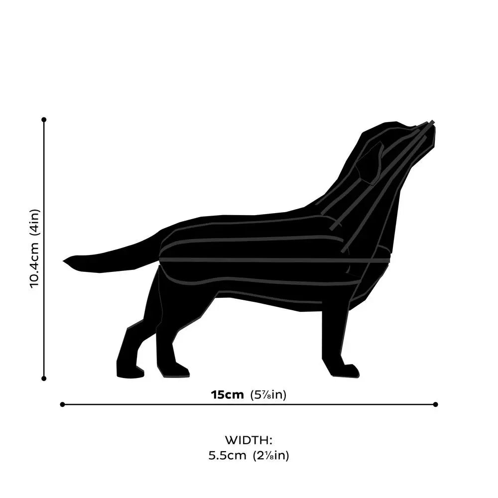measurement of lovi labrador #detail-photo